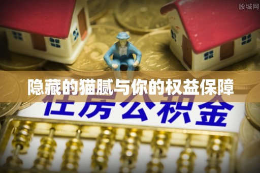 张家口隐藏的猫腻与你的权益保障